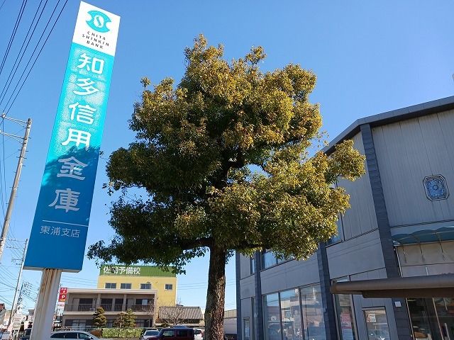 近くの知多信用金庫東浦支店まで491m(徒歩7分)