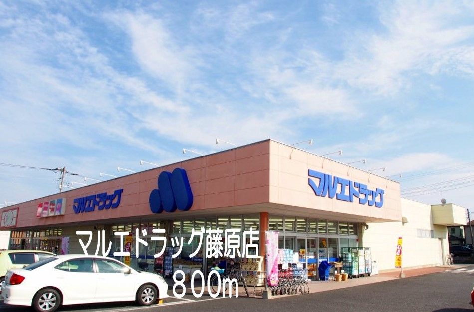 近くのドラッグストアまで800m（徒歩10分）