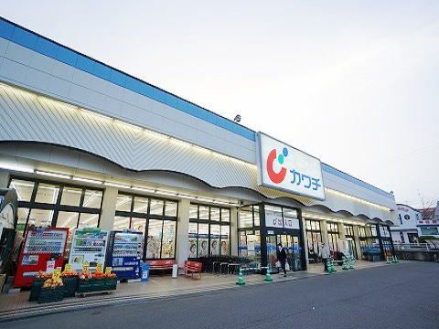 近くのカワチ薬品 安積店まで600m(徒歩8分)