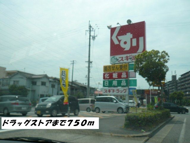 近くのスギ薬局まで750m(徒歩10分)