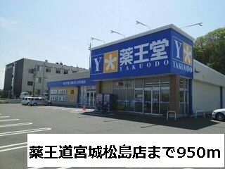 近くの薬王堂宮城松島店まで950m（徒歩12分）