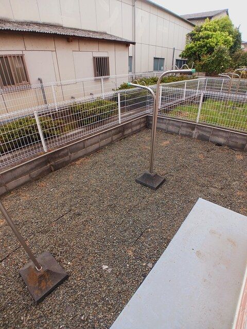 庭