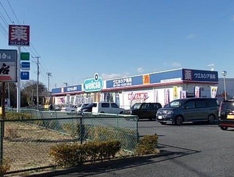 近くのウエルシア吉見店まで1,000m(徒歩13分)