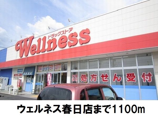 近くのウェルネス春日店まで1,100m(徒歩14分)