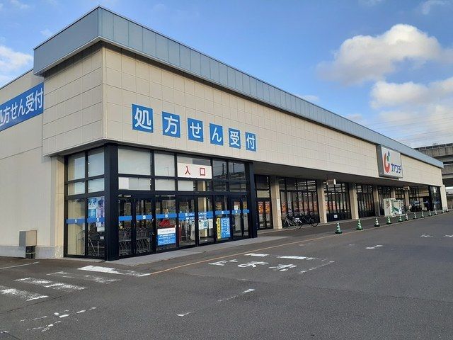 近くのカワチ薬品岩切店まで700m（徒歩9分）