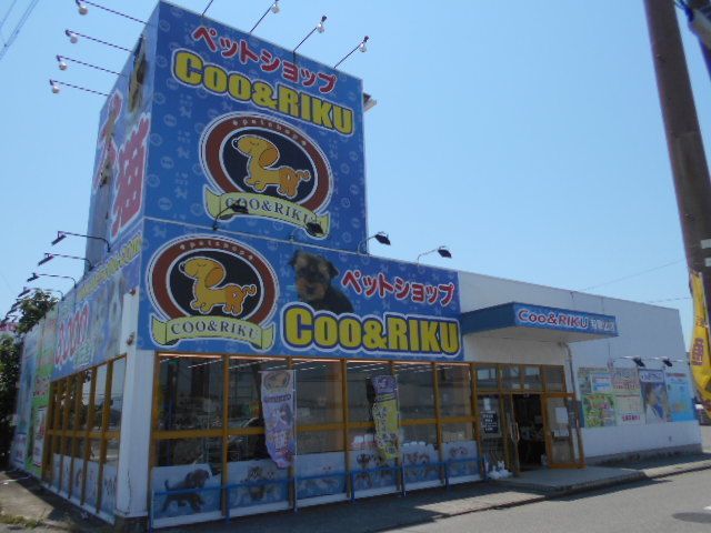 近くのペットショップＣＯＤ＆ＲＩＫ様まで2,200m（徒歩28分）