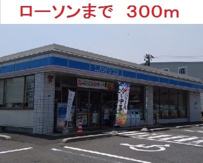 近くのローソンまで300m(徒歩4分)