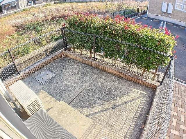 庭