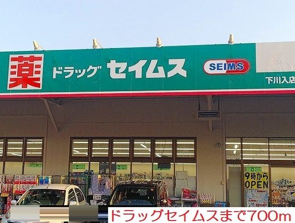 近くのドラッグセイムスまで700m（徒歩9分）