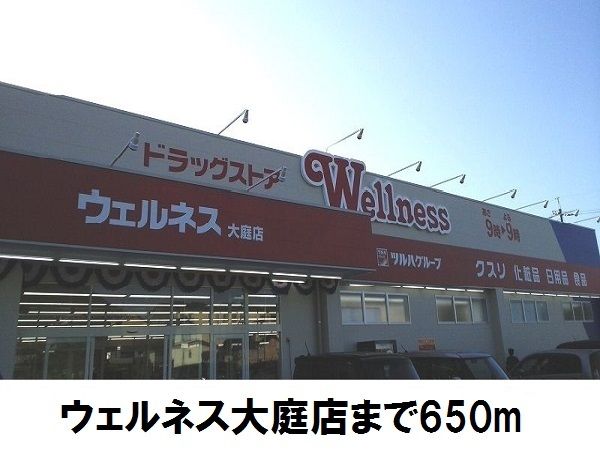 近くのウェルネス大庭店まで650m（徒歩9分）