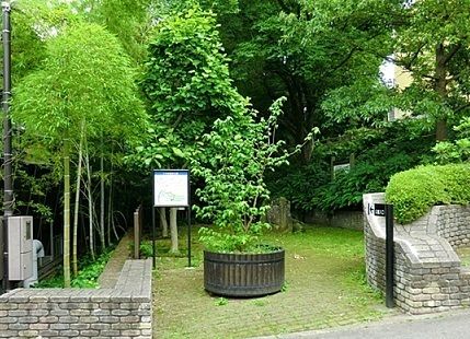 近くのいろは親水公園まで700m(徒歩9分)