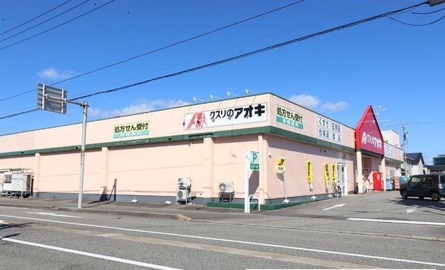 近くのクスリのアオキ津幡店まで1,300m（徒歩17分）