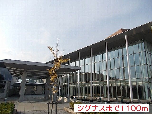 近くのシグナスまで1,100m（徒歩14分）