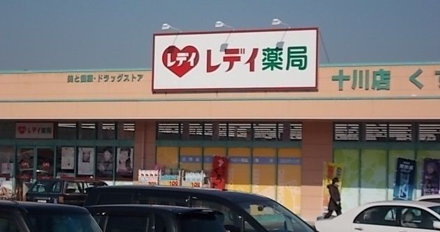 近くのレディ薬局十川店さんまで1,100m（徒歩14分）