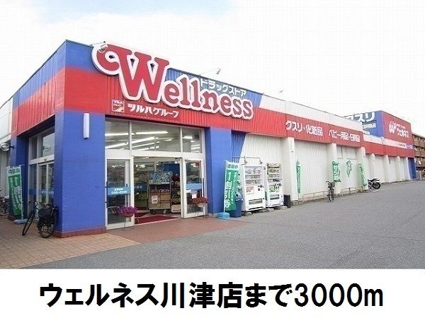 近くのウェルネス川津店まで3,000m（徒歩38分）
