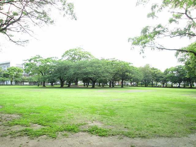 近くの宮崎市中央公園まで1,100m（徒歩14分）