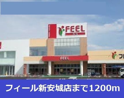 近くのフィール新安城店まで1,200m（徒歩15分）