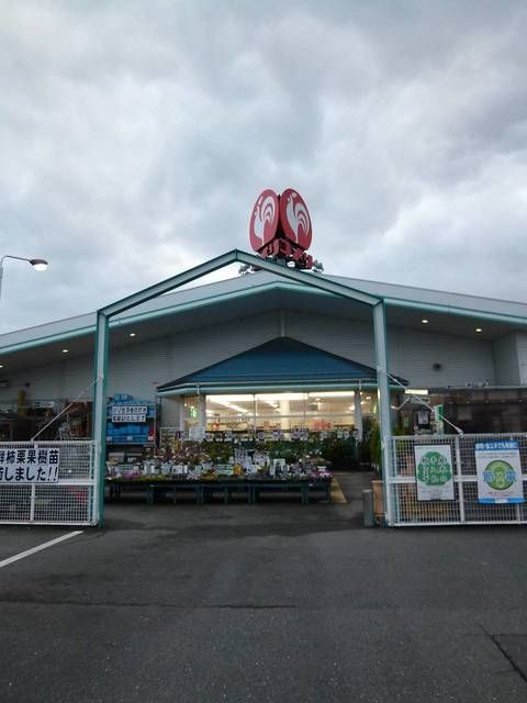 近くのコメリまで530m（徒歩7分）