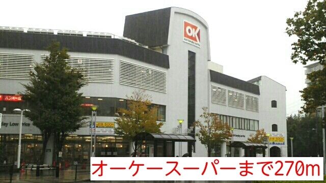 近くのオーケースーパーまで270m（徒歩4分）