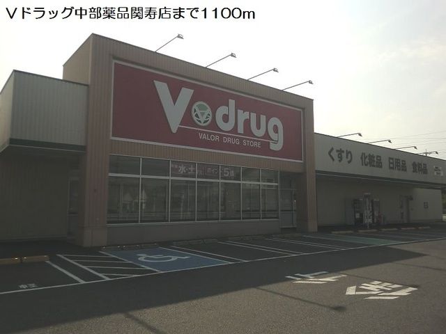 近くのＶドラッグ中部薬品関寿店まで1,100m（徒歩14分）