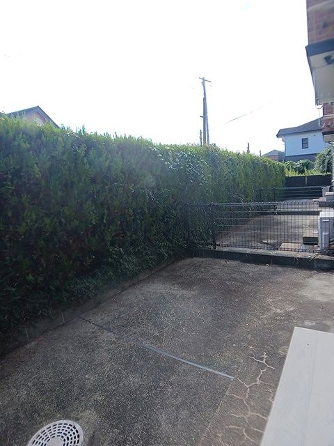 庭