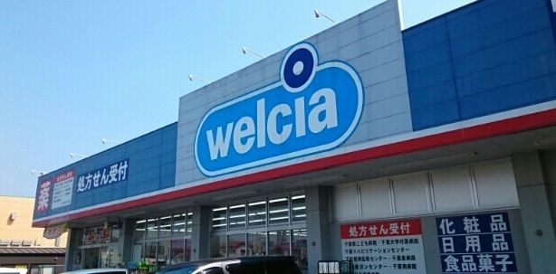 近くのウエルシアまで780m(徒歩10分)