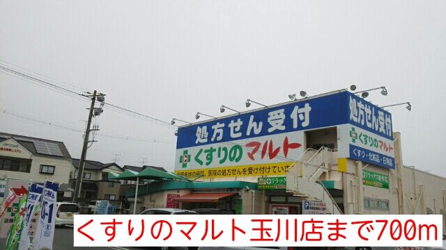 近くのくすりのマルト玉川店まで700m（徒歩9分）