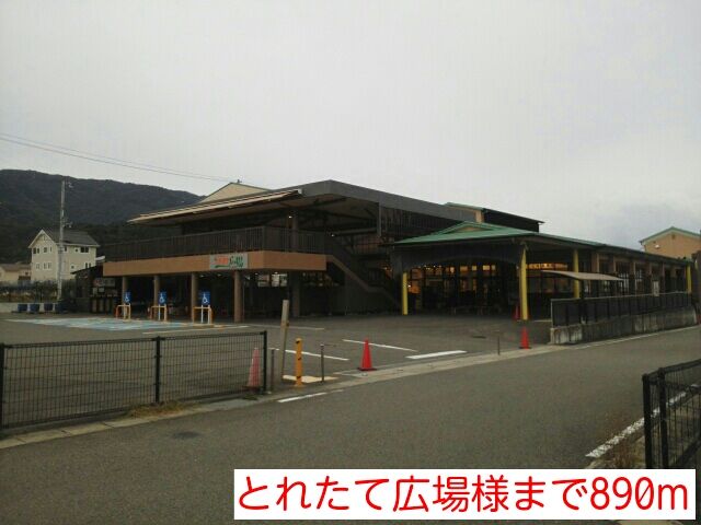 近くのとれたて広場様まで890m(徒歩12分)