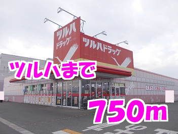 近くのツルハまで750m(徒歩10分)