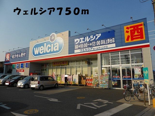 近くのウェルシアまで750m（徒歩10分）