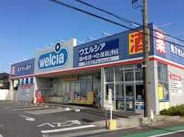 近くのウェルシアまで750m（徒歩10分）