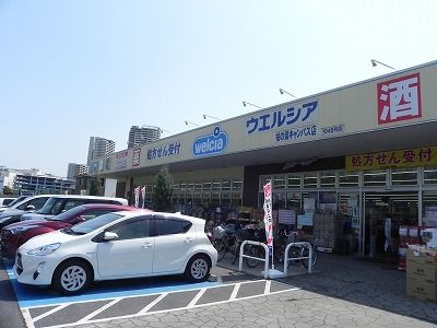 近くのドラッグストアまで900m（徒歩12分）