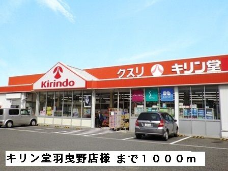 近くのドラッグストアまで1,000m（徒歩13分）