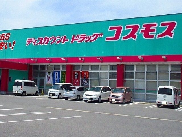 近くのドラッグストアまで900m（徒歩12分）