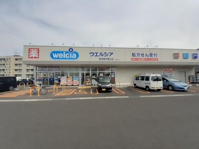 近くのウエルシア新潟東中野山店まで1,100m(徒歩14分)