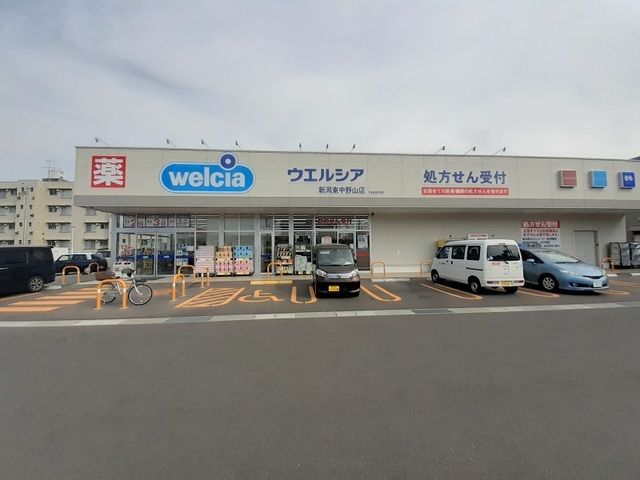 近くのウェルシア新潟東中野山まで250m（徒歩4分）