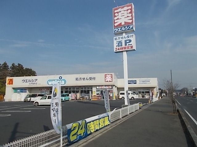 近くのウエルシア水戸堀町店まで280m(徒歩4分)