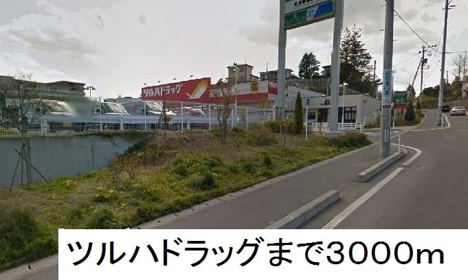 近くのツルハドラッグ塩釜栄町店まで3,000m（徒歩38分）