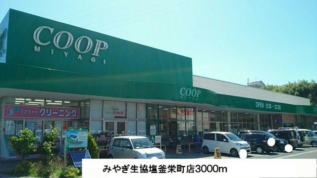 近くのみやぎ生協塩釜栄町店まで3,000m（徒歩38分）
