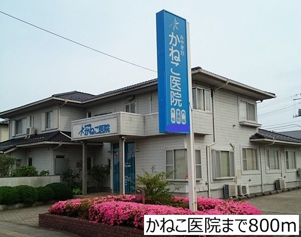 近くのかねこ医院まで800m（徒歩10分）