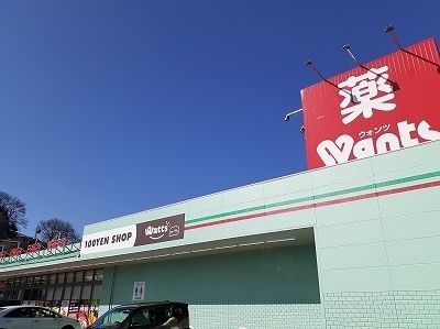 近くのドラッグストアまで1,100m（徒歩14分）