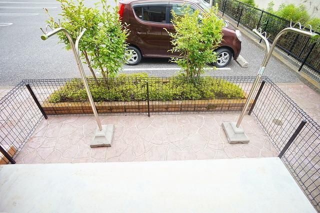 庭