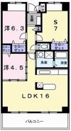グレイスコートの間取り画像