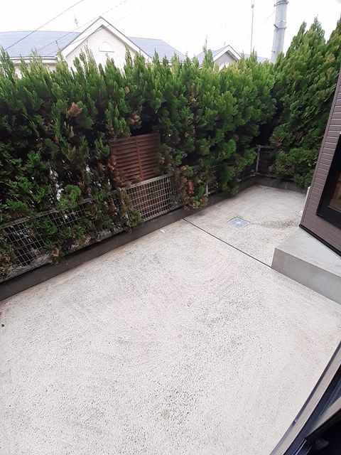 庭