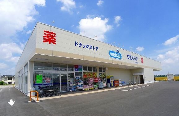 近くのウエルシア太田富沢店まで700m（徒歩9分）