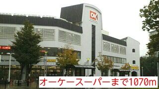 近くのオーケースーパーまで1,070m（徒歩14分）