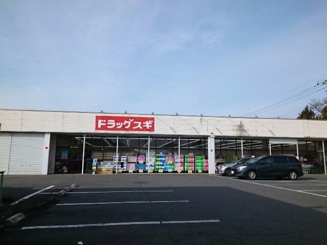 近くのスギドラッグ片岡店まで1,100m（徒歩14分）