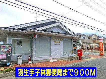 近くの羽生手子林郵便局まで900m（徒歩12分）