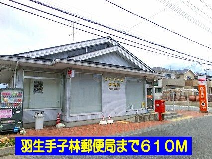 近くの羽生手子林郵便局まで610m(徒歩8分)
