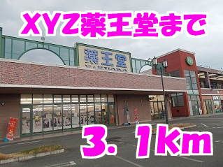 近くの薬王堂まで3,100m（徒歩39分）